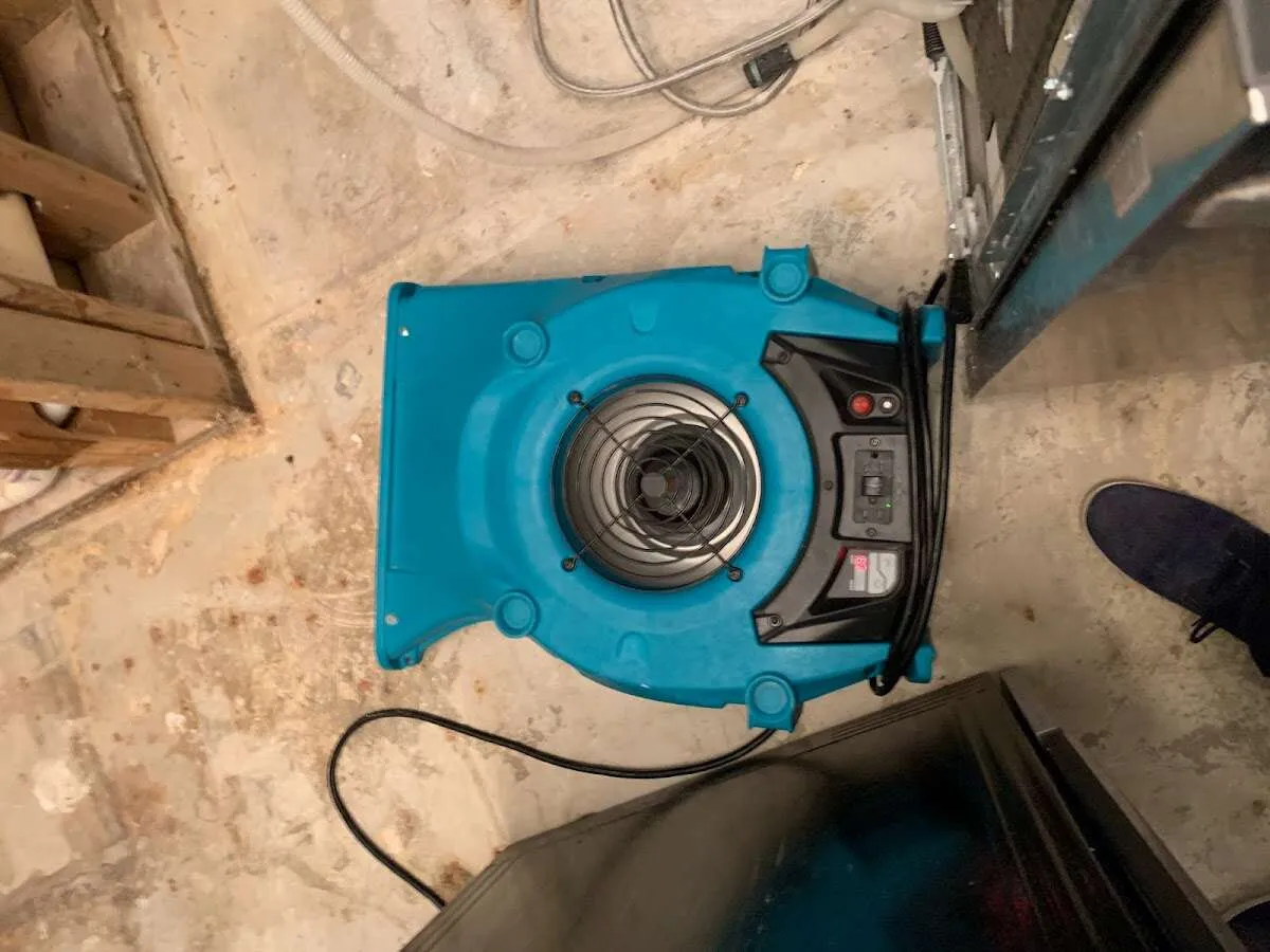Air mover drying equipment for Mold Remediation & Removal in Belmar