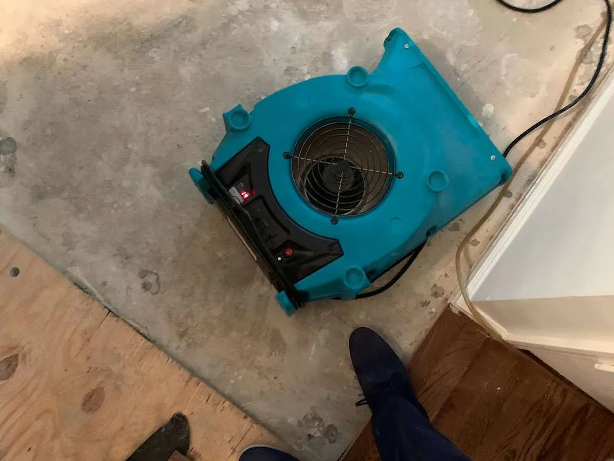 Air mover drying subfloor during Commercial Water Damage Restoration in Belmar